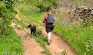 Motorhome Holidays in the Peak District